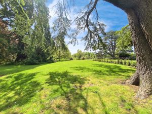 Photo 11- click for photo gallery